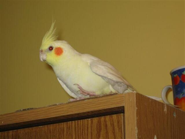 28.5.2006. 001.jpg